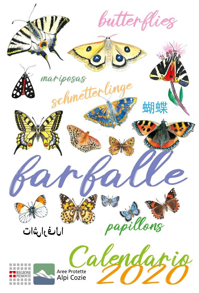 Farfalle - Conferenza naturalistica
